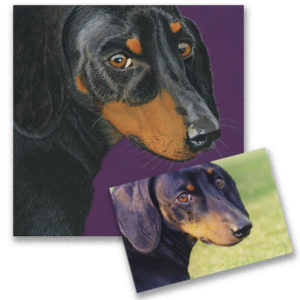 custom pet paintings