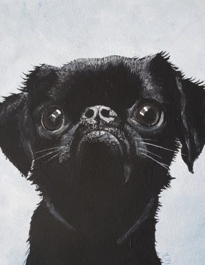 Black-Pug2-600x593