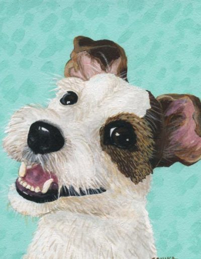 jack-russlell-terrier-600x593