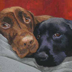 Best Friends two labradors